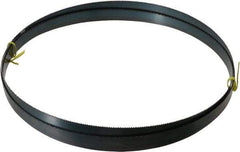 Starrett - 10 TPI, 10' Long x 3/4" Wide x 0.032" Thick, Welded Band Saw Blade - Carbon Steel, Toothed Edge, Raker Tooth Set, Flexible Back, Contour Cutting - Apex Tool & Supply