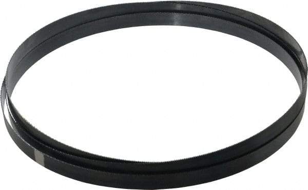 Starrett - 14 TPI, 10' Long x 3/4" Wide x 0.032" Thick, Welded Band Saw Blade - Carbon Steel, Toothed Edge, Raker Tooth Set, Flexible Back, Contour Cutting - Apex Tool & Supply