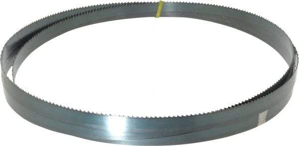 Starrett - 6 TPI, 10' Long x 3/4" Wide x 0.032" Thick, Welded Band Saw Blade - Carbon Steel, Toothed Edge, Raker Tooth Set, Flexible Back, Contour Cutting - Apex Tool & Supply