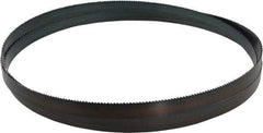 Starrett - 8 TPI, 10' Long x 3/4" Wide x 0.032" Thick, Welded Band Saw Blade - Carbon Steel, Toothed Edge, Raker Tooth Set, Flexible Back, Contour Cutting - Apex Tool & Supply