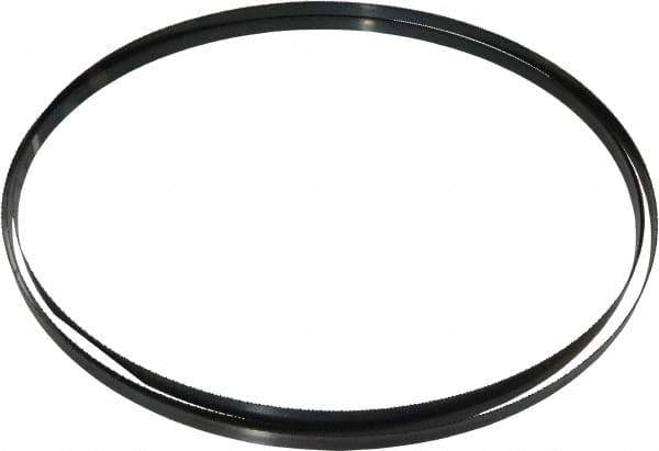 Starrett - 14/S TPI, 12' Long x 1/2" Wide x 0.025" Thick, Welded Band Saw Blade - Carbon Steel, Toothed Edge, Raker Tooth Set, Flexible Back, Contour Cutting - Apex Tool & Supply
