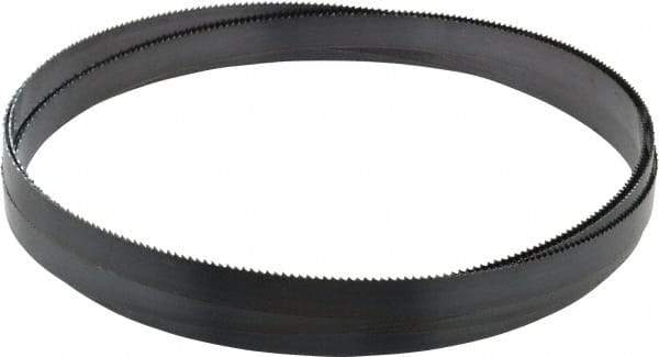 Starrett - 8/S TPI, 14' 8" Long x 3/4" Wide x 0.032" Thick, Welded Band Saw Blade - Carbon Steel, Toothed Edge, Raker Tooth Set, Flexible Back, Contour Cutting - Apex Tool & Supply