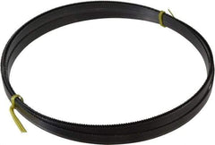 Starrett - 10/S TPI, 19' 6" Long x 5/8" Wide x 0.032" Thick, Welded Band Saw Blade - Carbon Steel, Toothed Edge, Raker Tooth Set, Flexible Back, Contour Cutting - Apex Tool & Supply