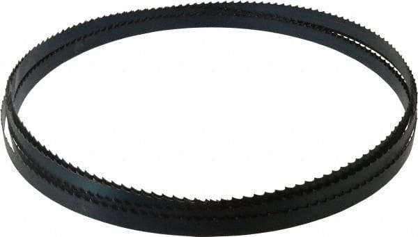 Starrett - 3 TPI, 19' 8" Long x 3/4" Wide x 0.032" Thick, Welded Band Saw Blade - Carbon Steel, Toothed Edge, Raker Tooth Set, Flexible Back, Contour Cutting - Apex Tool & Supply
