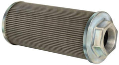 Flow Ezy Filters - 100 Mesh, 284 LPM, 75 GPM, 5.4" Diam, Female Suction Strainer without Bypass - 2-1/2 Port NPT, 12-1/2" Long - Apex Tool & Supply