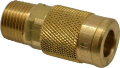 Coilhose Pneumatics - 3/8 Male NPT Acme Pneumatic Hose Coupler - Brass, 1/4" Body Diam - Apex Tool & Supply