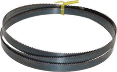 Starrett - 10 TPI, 5' Long x 1/2" Wide x 0.025" Thick, Welded Band Saw Blade - Carbon Steel, Toothed Edge, Raker Tooth Set, Flexible Back, Contour Cutting - Apex Tool & Supply