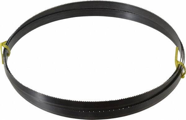 Starrett - 10 TPI, 8' 2-1/2" Long x 5/8" Wide x 0.032" Thick, Welded Band Saw Blade - Carbon Steel, Toothed Edge, Raker Tooth Set, Flexible Back, Contour Cutting - Apex Tool & Supply