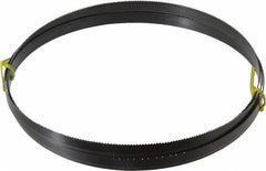 Starrett - 10 TPI, 8' 2-1/2" Long x 5/8" Wide x 0.032" Thick, Welded Band Saw Blade - Carbon Steel, Toothed Edge, Raker Tooth Set, Flexible Back, Contour Cutting - Apex Tool & Supply