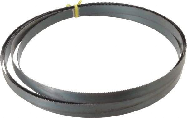 Starrett - 10 TPI, 14' 6" Long x 3/4" Wide x 0.032" Thick, Welded Band Saw Blade - Carbon Steel, Toothed Edge, Raker Tooth Set, Flexible Back, Contour Cutting - Apex Tool & Supply