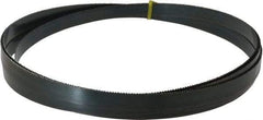 Starrett - 10 TPI, 14' 8" Long x 3/4" Wide x 0.032" Thick, Welded Band Saw Blade - Carbon Steel, Toothed Edge, Raker Tooth Set, Flexible Back, Contour Cutting - Apex Tool & Supply
