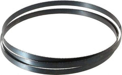 Starrett - 10 TPI, 6' 8" Long x 1/2" Wide x 0.025" Thick, Welded Band Saw Blade - Carbon Steel, Toothed Edge, Raker Tooth Set, Flexible Back, Contour Cutting - Apex Tool & Supply