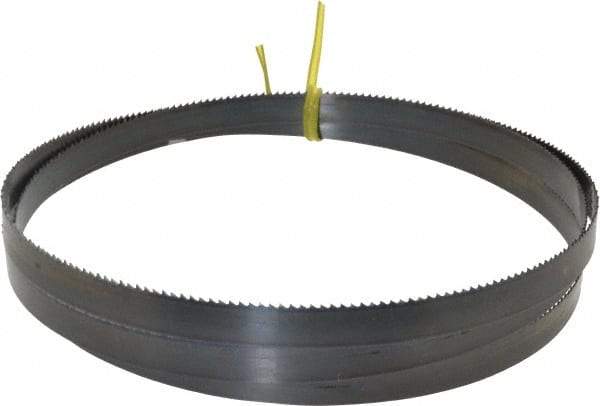Starrett - 10 TPI, 5' 5" Long x 1/2" Wide x 0.025" Thick, Welded Band Saw Blade - Carbon Steel, Toothed Edge, Raker Tooth Set, Flexible Back, Contour Cutting - Apex Tool & Supply