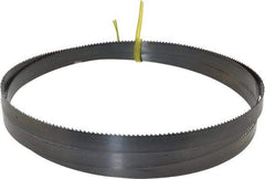 Starrett - 10 TPI, 5' 5" Long x 1/2" Wide x 0.025" Thick, Welded Band Saw Blade - Carbon Steel, Toothed Edge, Raker Tooth Set, Flexible Back, Contour Cutting - Apex Tool & Supply