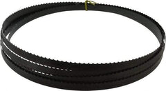 Starrett - 3 TPI, 19' 6" Long x 3/4" Wide x 0.032" Thick, Welded Band Saw Blade - Carbon Steel, Toothed Edge, Raker Tooth Set, Flexible Back, Contour Cutting - Apex Tool & Supply
