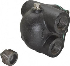 Watts - 4 Port, 1-1/4" Pipe, Cast Iron Float & Thermostatic Steam Trap - 30 Max psi - Apex Tool & Supply