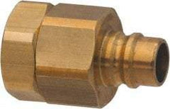 Parker - 1-1/4 Thread Brass Hydraulic Hose Valved Coupler - 350 psi, 120 GPM - Apex Tool & Supply