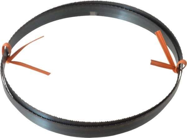 Disston - 14 TPI, 6' 8" Long x 1/2" Wide x 0.025" Thick, Welded Band Saw Blade - Carbon Steel, Toothed Edge, Raker Tooth Set, Flexible Back, Contour Cutting - Apex Tool & Supply