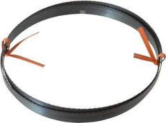 Disston - 14 TPI, 6' 8" Long x 1/2" Wide x 0.025" Thick, Welded Band Saw Blade - Carbon Steel, Toothed Edge, Raker Tooth Set, Flexible Back, Contour Cutting - Apex Tool & Supply