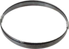 Disston - 6 TPI, 6' 9" Long x 1/2" Wide x 0.025" Thick, Welded Band Saw Blade - Carbon Steel, Toothed Edge, Raker Tooth Set, Flexible Back, Contour Cutting - Apex Tool & Supply