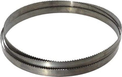 Disston - 6 TPI, 7' 9" Long x 3/4" Wide x 0.032" Thick, Welded Band Saw Blade - Carbon Steel, Toothed Edge, Raker Tooth Set, Flexible Back, Contour Cutting - Apex Tool & Supply