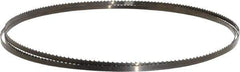 Disston - 6 TPI, 7' 9-1/2" Long x 1/4" Wide x 0.025" Thick, Welded Band Saw Blade - Carbon Steel, Toothed Edge, Raker Tooth Set, Flexible Back, Contour Cutting - Apex Tool & Supply