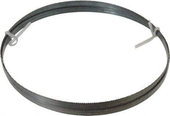 Disston - 10 TPI, 8' Long x 1/2" Wide x 0.025" Thick, Welded Band Saw Blade - Carbon Steel, Toothed Edge, Raker Tooth Set, Flexible Back, Contour Cutting - Apex Tool & Supply