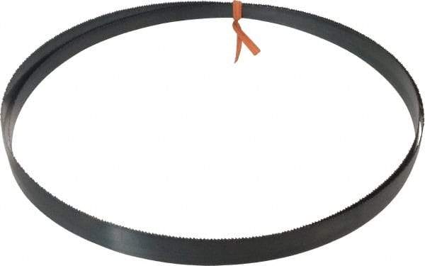 Disston - 14 TPI, 8' Long x 1/2" Wide x 0.025" Thick, Welded Band Saw Blade - Carbon Steel, Toothed Edge, Raker Tooth Set, Flexible Back, Contour Cutting - Apex Tool & Supply