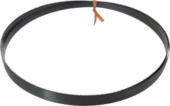 Disston - 14 TPI, 8' Long x 1/2" Wide x 0.025" Thick, Welded Band Saw Blade - Carbon Steel, Toothed Edge, Raker Tooth Set, Flexible Back, Contour Cutting - Apex Tool & Supply