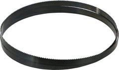 Disston - 6 TPI, 9' Long x 3/4" Wide x 0.032" Thick, Welded Band Saw Blade - Carbon Steel, Toothed Edge, Raker Tooth Set, Flexible Back, Contour Cutting - Apex Tool & Supply