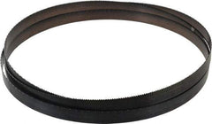 Disston - 10 TPI, 9' Long x 3/4" Wide x 0.032" Thick, Welded Band Saw Blade - Carbon Steel, Toothed Edge, Raker Tooth Set, Flexible Back, Contour Cutting - Apex Tool & Supply