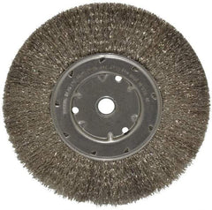 Anderson - 8" OD, 5/8" Arbor Hole, Crimped Stainless Steel Wheel Brush - 1/2" Face Width, 1-13/16" Trim Length, 0.0104" Filament Diam, 4,500 RPM - Apex Tool & Supply