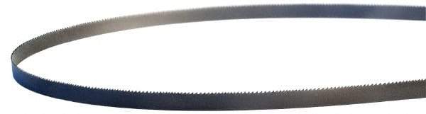 Lenox - 10 to 14 TPI, 6' 6" Long x 3/8" Wide x 0.025" Thick, Welded Band Saw Blade - Bi-Metal, Toothed Edge - Apex Tool & Supply