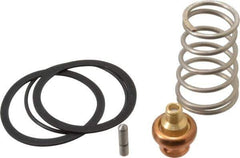 Bradley - Wash Fountain Repair Kit - For Use with Bradley S01-116S Thermostatic Mixing Valve - Apex Tool & Supply