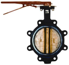 Legend Valve - 5" Pipe, Lug Butterfly Valve - Lever Handle, Cast Iron Body, EPDM Seat, 200 WOG, Aluminum Bronze Disc, Stainless Steel Stem - Apex Tool & Supply