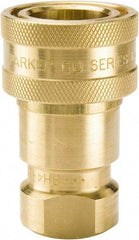 Parker - 1/2 NPTF Brass Hydraulic Hose Female Pipe Thread Coupler - 1,000 psi, 12 GPM - Apex Tool & Supply