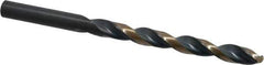 Triumph Twist Drill - 0.302" 135° High Speed Steel Jobber Drill - Oxide/Gold Finish, Right Hand Cut, Spiral Flute, Straight Shank, 4-3/8" OAL, Split Point - Apex Tool & Supply