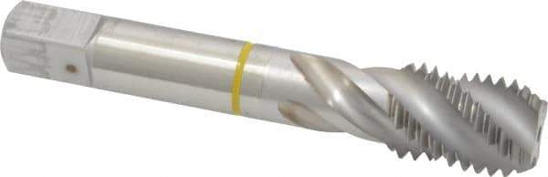 Guhring - 3/4-10 UNC 4 Flute 2B Modified Bottoming Spiral Flute Tap - Cobalt, Bright Finish, 4-1/4" OAL, Right Hand Flute, Right Hand Thread, Series 3904 - Apex Tool & Supply