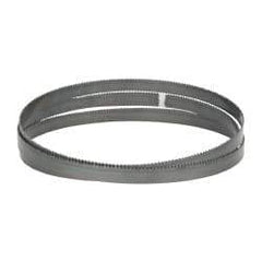 M.K. MORSE - 10 TPI, 5' 4-1/2" Long x 1/2" Wide x 0.025" Thick, Welded Band Saw Blade - High Carbon Steel, Toothed Edge, Raker Tooth Set, Flexible Back, Contour Cutting - Apex Tool & Supply