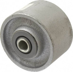 Albion - 3-1/4 Inch Diameter x 2 Inch Wide, Cast Iron Caster Wheel - 700 Lb. Capacity, 2-3/16 Inch Hub Length, 1/2 Inch Axle Diameter, Roller Bearing - Apex Tool & Supply