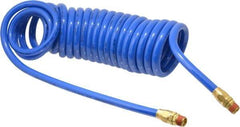 Coilhose Pneumatics - 3/8" ID, 3/8 Thread, 20' Long, Blue Polyurethane Coiled & Self Storing Hose - 115 Max psi, Male Swivel x Male Swivel - Apex Tool & Supply