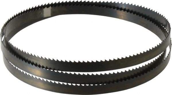 Disston - 6 TPI, 5' 4-1/2" Long x 1/2" Wide x 0.025" Thick, Welded Band Saw Blade - Carbon Steel, Toothed Edge, Raker Tooth Set, Hard Back, Contour Cutting - Apex Tool & Supply