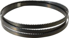 Disston - 6 TPI, 5' 4-1/2" Long x 1/2" Wide x 0.025" Thick, Welded Band Saw Blade - Carbon Steel, Toothed Edge, Raker Tooth Set, Hard Back, Contour Cutting - Apex Tool & Supply