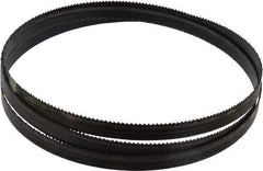 Disston - 10 TPI, 5' 4-1/2" Long x 1/2" Wide x 0.025" Thick, Welded Band Saw Blade - Carbon Steel, Toothed Edge, Raker Tooth Set, Hard Back, Contour Cutting - Apex Tool & Supply