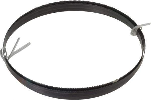 Disston - 10 TPI, 7' 5" Long x 1/2" Wide x 0.025" Thick, Welded Band Saw Blade - Carbon Steel, Toothed Edge, Raker Tooth Set, Hard Back, Contour Cutting - Apex Tool & Supply