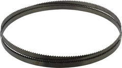 Disston - 6 TPI, 7' 9" Long x 1/2" Wide x 0.025" Thick, Welded Band Saw Blade - Carbon Steel, Toothed Edge, Raker Tooth Set, Hard Back, Contour Cutting - Apex Tool & Supply