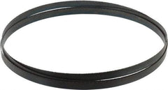 Disston - 14 TPI, 7' 9" Long x 1/2" Wide x 0.025" Thick, Welded Band Saw Blade - Carbon Steel, Toothed Edge, Raker Tooth Set, Hard Back, Contour Cutting - Apex Tool & Supply