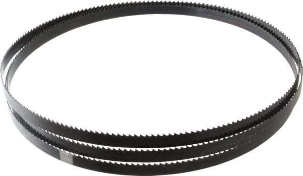 Disston - 6 TPI, 7' 9-1/2" Long x 1/2" Wide x 0.025" Thick, Welded Band Saw Blade - Carbon Steel, Toothed Edge, Raker Tooth Set, Hard Back, Contour Cutting - Apex Tool & Supply