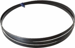 Disston - 10 TPI, 7' 9-1/2" Long x 1/2" Wide x 0.025" Thick, Welded Band Saw Blade - Carbon Steel, Toothed Edge, Raker Tooth Set, Hard Back, Contour Cutting - Apex Tool & Supply