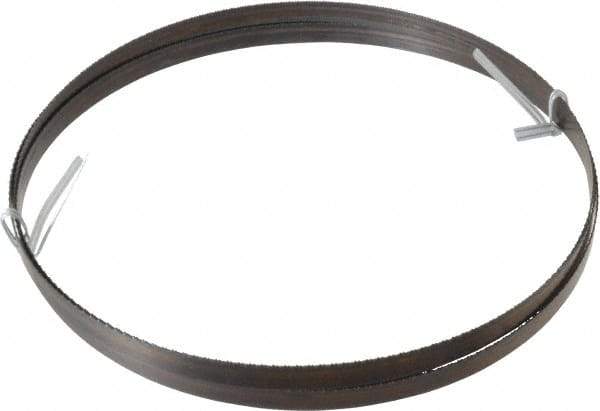 Disston - 18 TPI, 7' 9-1/2" Long x 1/2" Wide x 0.025" Thick, Welded Band Saw Blade - Carbon Steel, Toothed Edge, Raker Tooth Set, Hard Back, Contour Cutting - Apex Tool & Supply